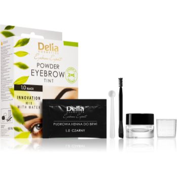 Delia Cosmetics Eyebrow Expert vopsea de sprancene - imagine 2